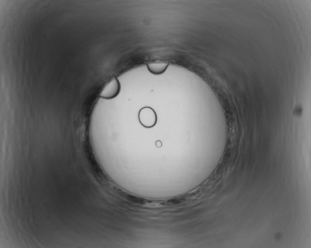 X0000103410703200809120949