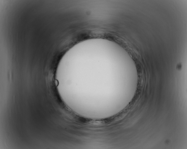 X0000103410711200809120948