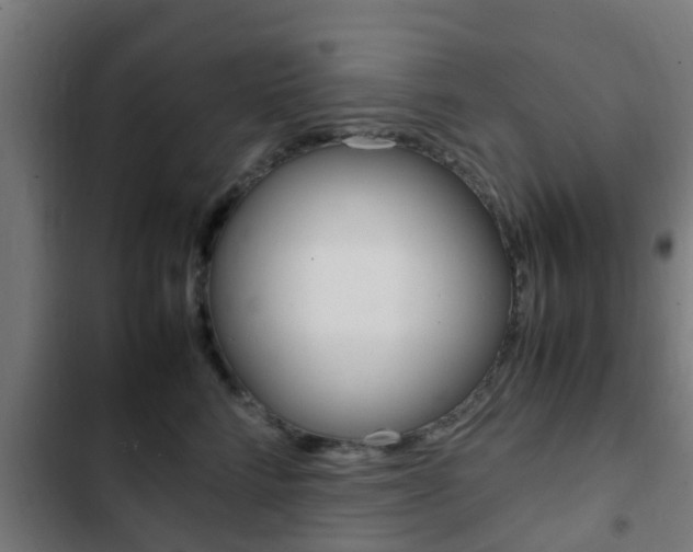 X0000103410712200809120948