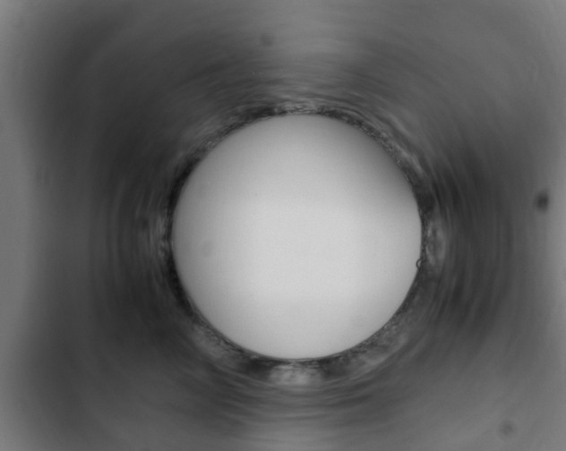 X0000103410714200809120948