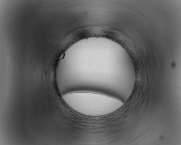 X0000103410715200809120948