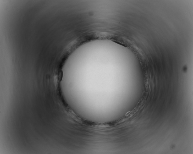 X0000103410716200809120948
