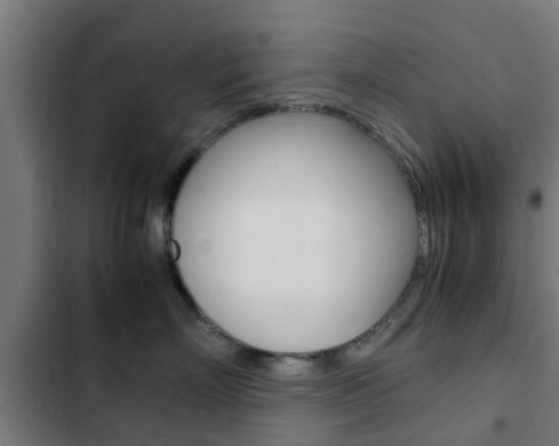 X0000103410718200809120948