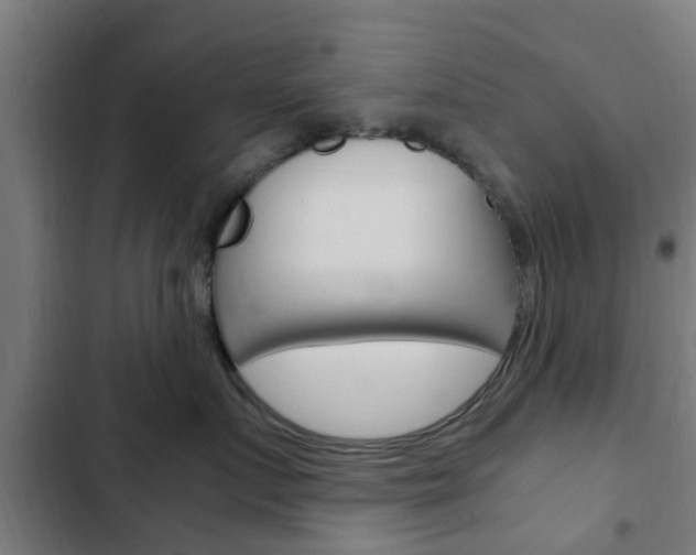 X0000103410719200809120948