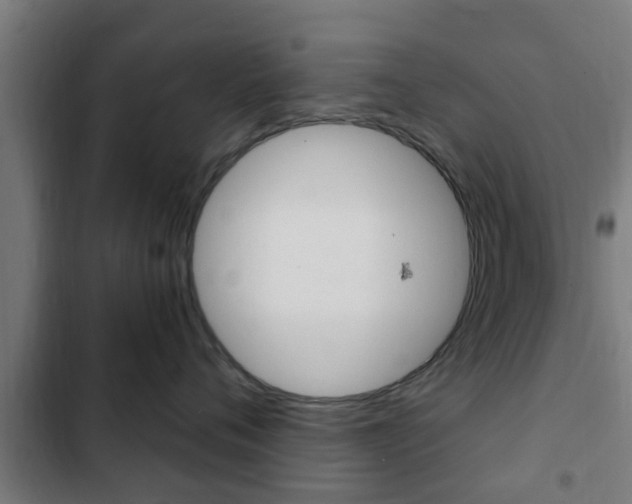 X0000103410720200809120948