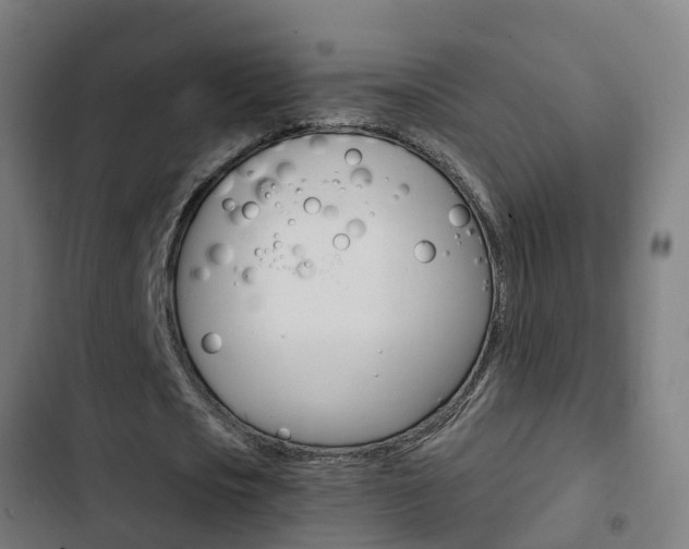 X0000103410721200809120947