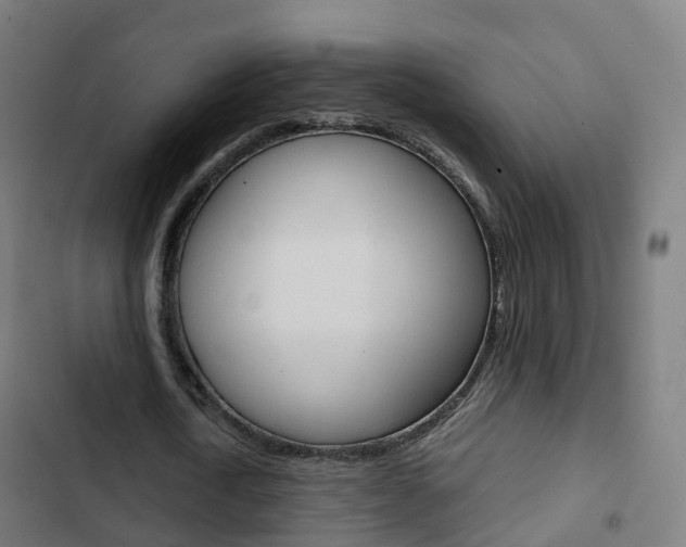 X0000103410722200809120947