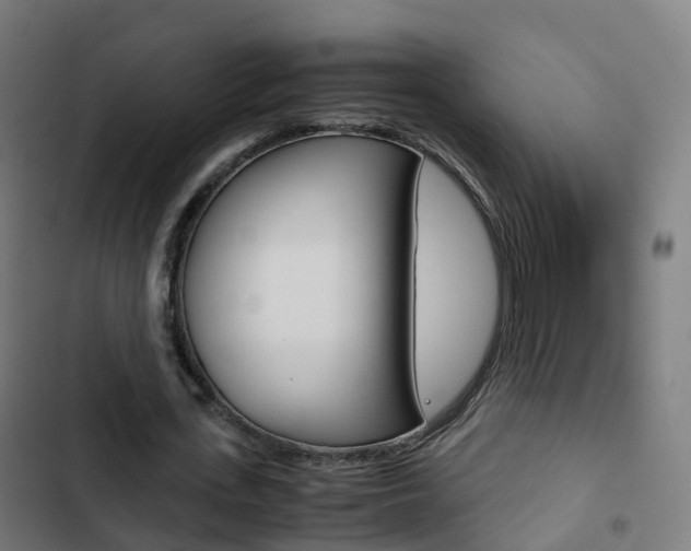 X0000103410723200809120947