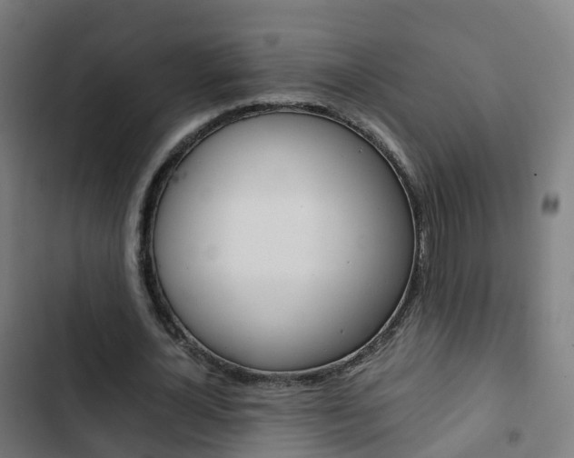 X0000103410724200809120947