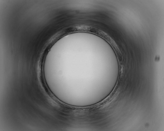 X0000103410725200809120947