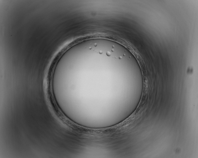 X0000103410726200809120947