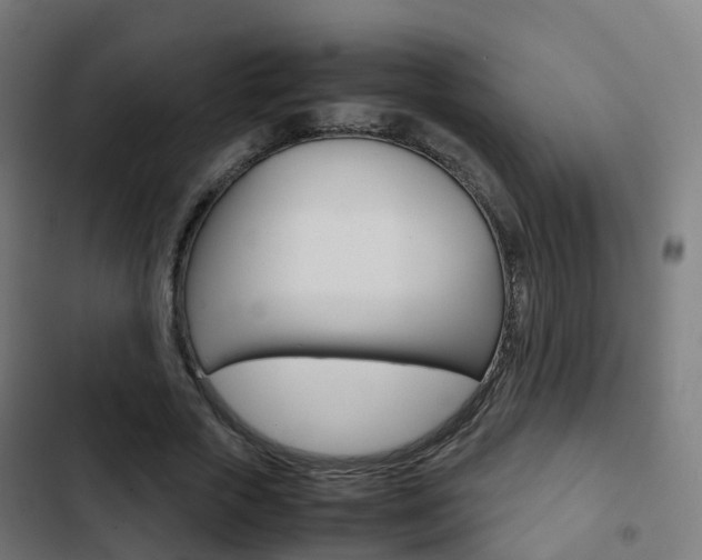 X0000103410729200809120947