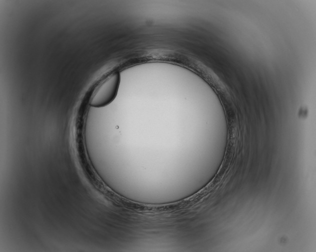 X0000103410730200809120947