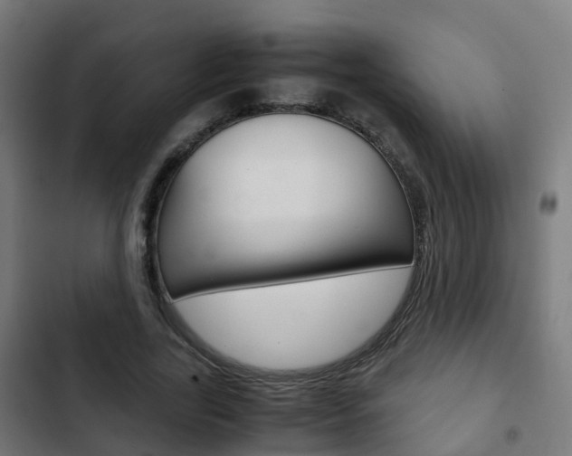 X0000103410731200809120947