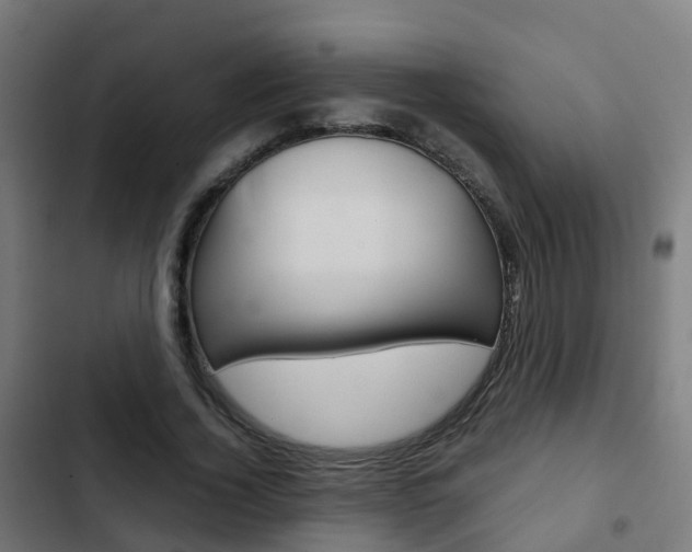 X0000103410732200809120947