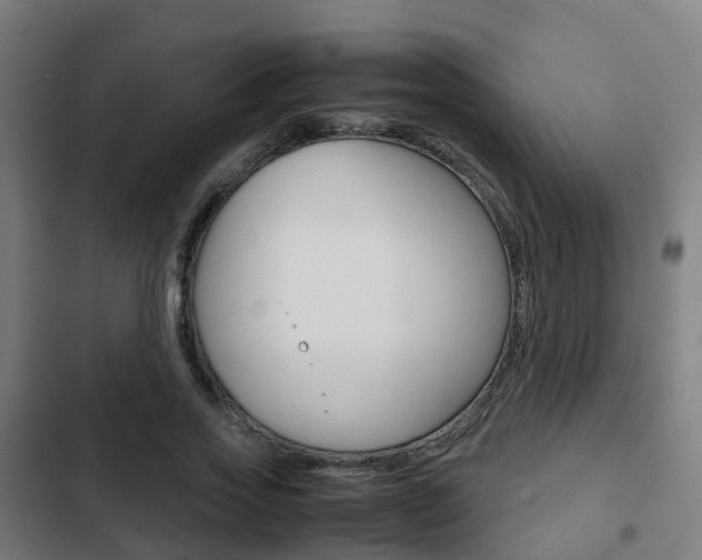 X0000103410733200809120948