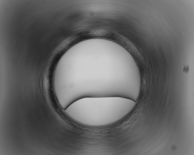 X0000103410734200809120948