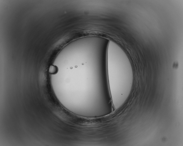X0000103410735200809120948