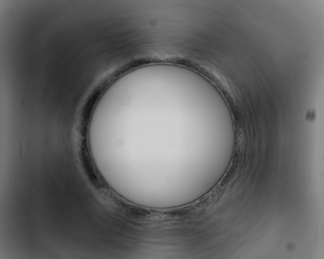 X0000103410736200809120948