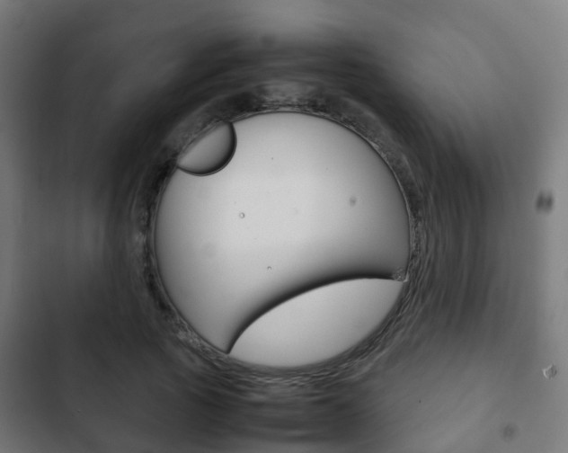 X0000103410737200809120948