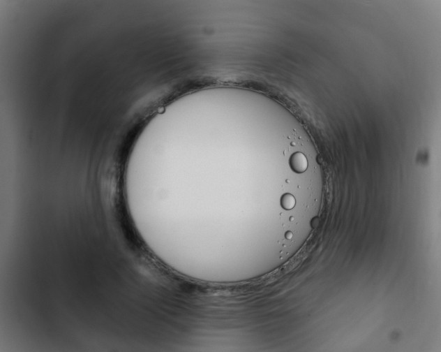 X0000103410740200809120948