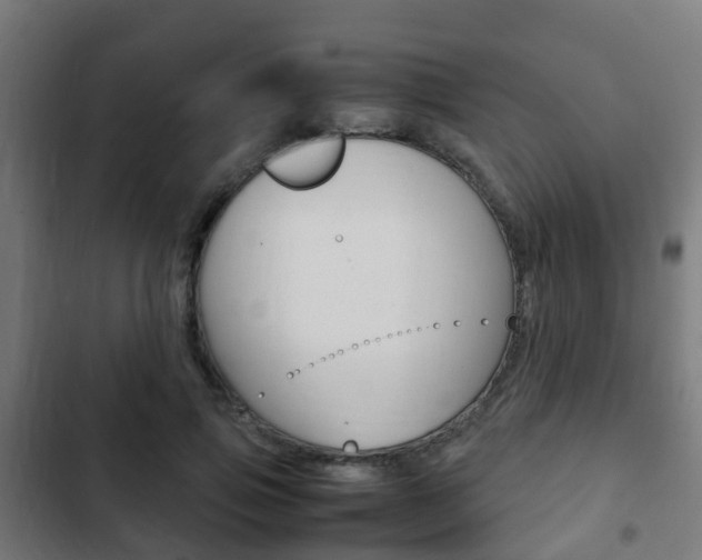 X0000103410741200809120948