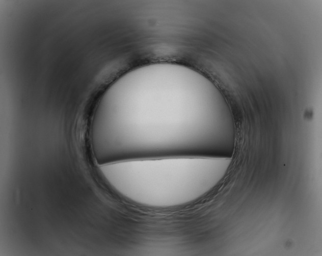 X0000103410742200809120948