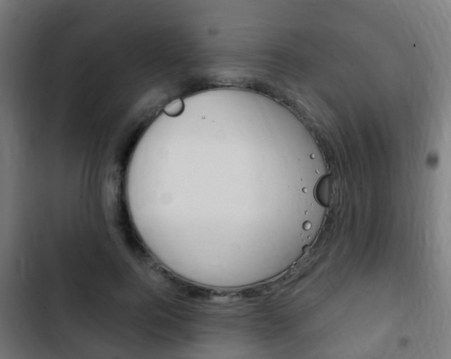 X0000103410744200809120948