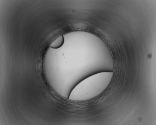 X0000103410745200809120948