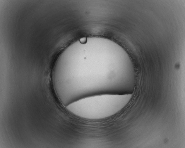 X0000103410746200809120948