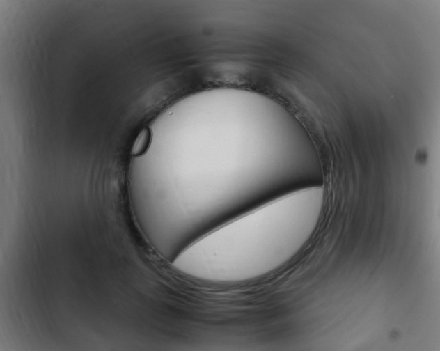 X0000103410747200809120948