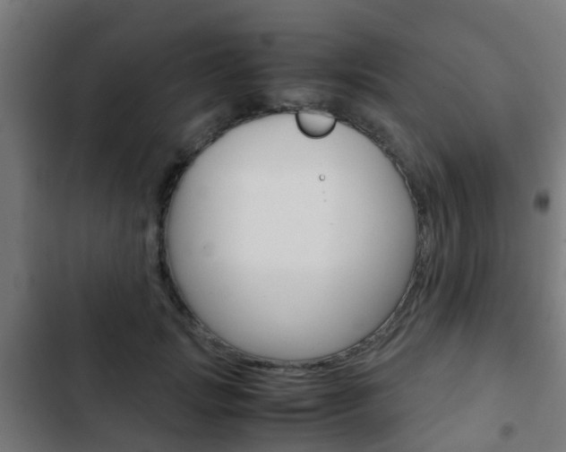 X0000103410749200809120948