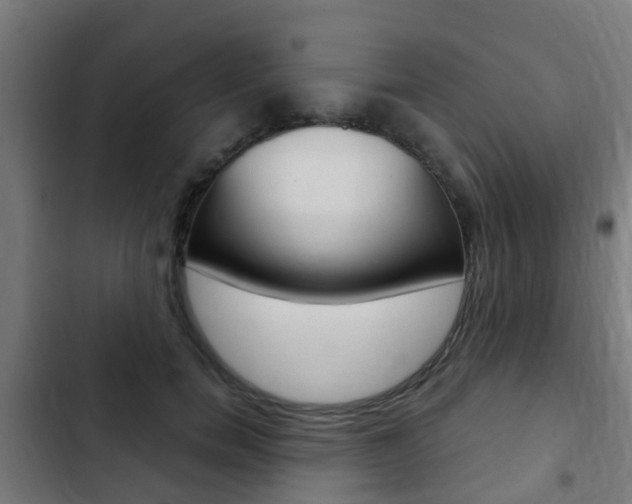 X0000103410750200809120948