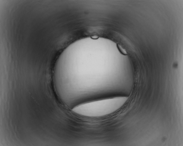 X0000103410751200809120948