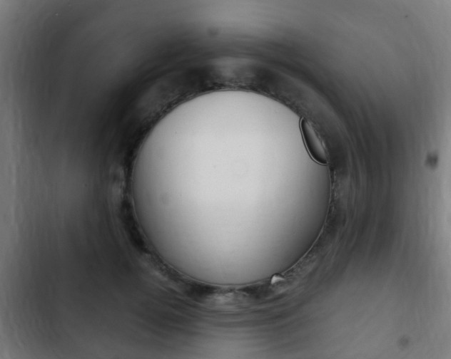 X0000103410752200809120948