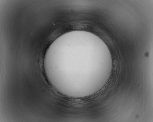 X0000103410753200809120948