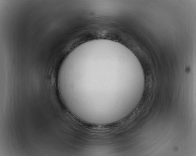 X0000103410754200809120948