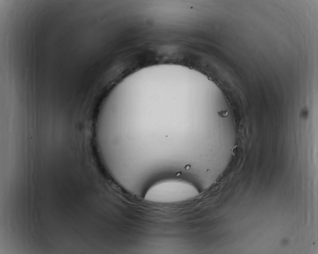 X0000103410756200809120948
