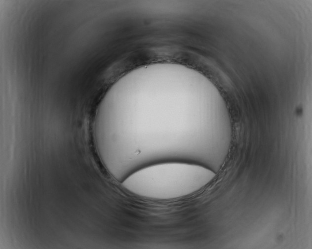 X0000103410757200809120948