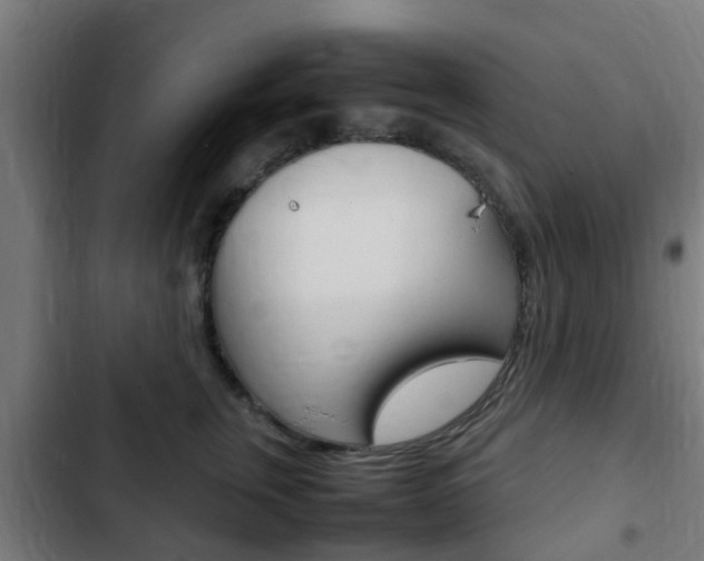 X0000103410759200809120948