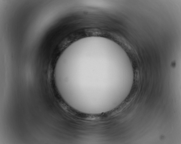 X0000103410760200809120948