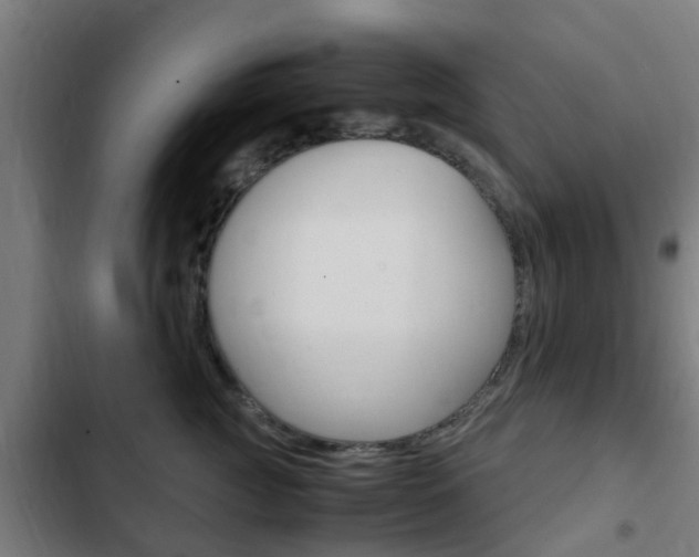 X0000103410761200809120948
