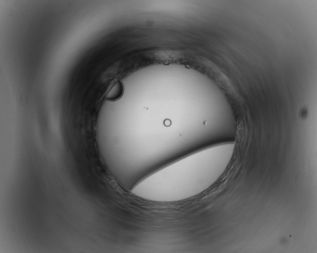 X0000103410762200809120948