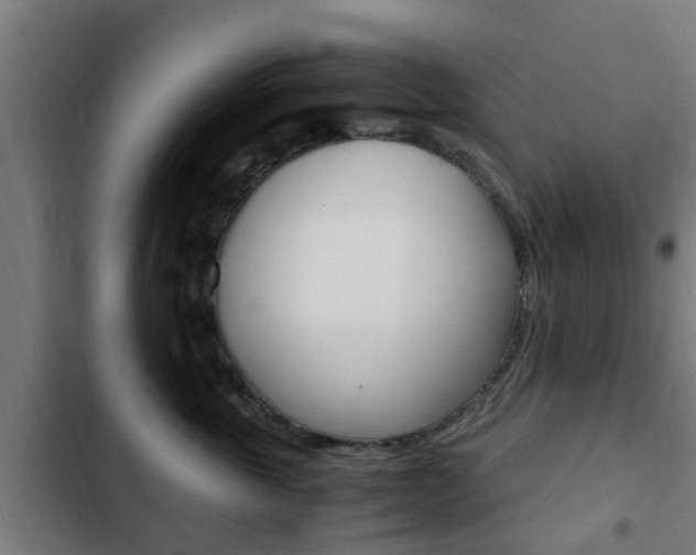 X0000103410763200809120948