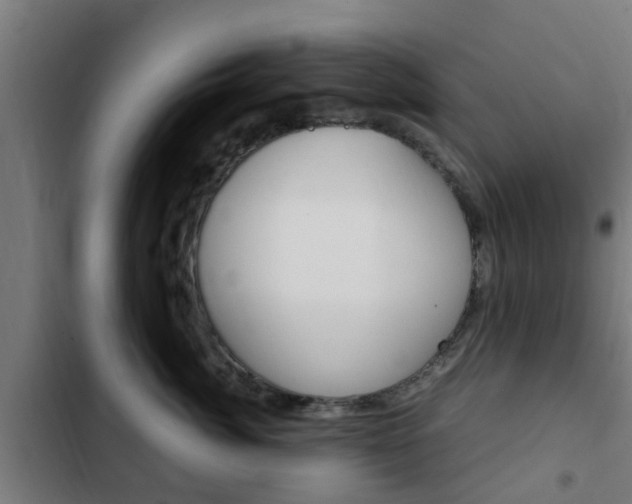 X0000103410764200809120948