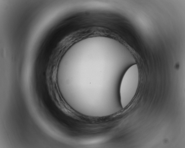 X0000103410765200809120948