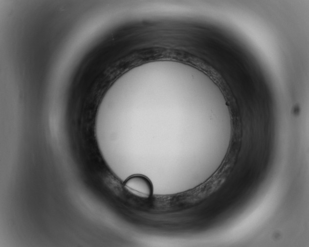 X0000103410766200809120948