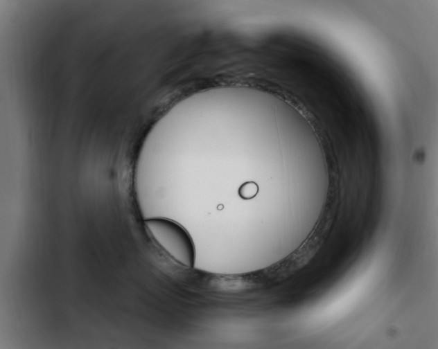 X0000103410767200809120948