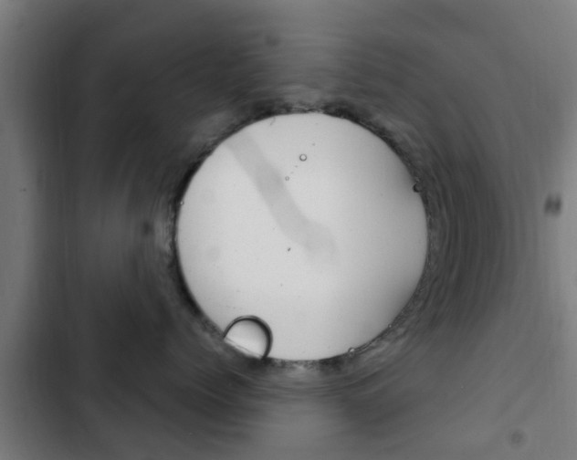 X0000103410768200809120948