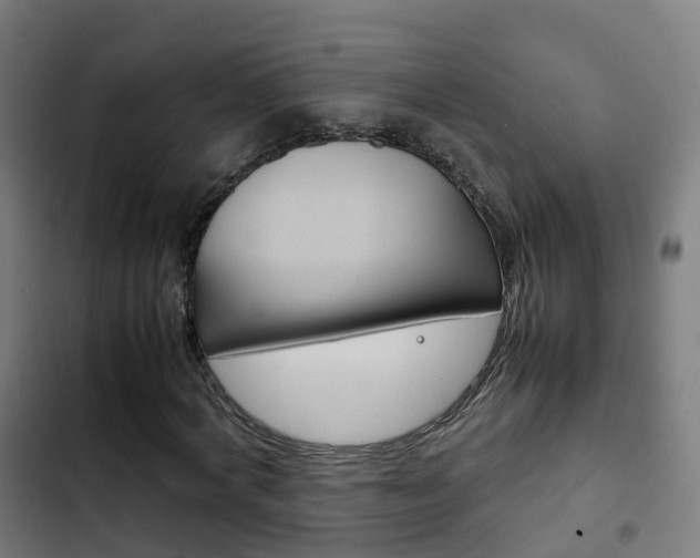 X0000103410772200809120947